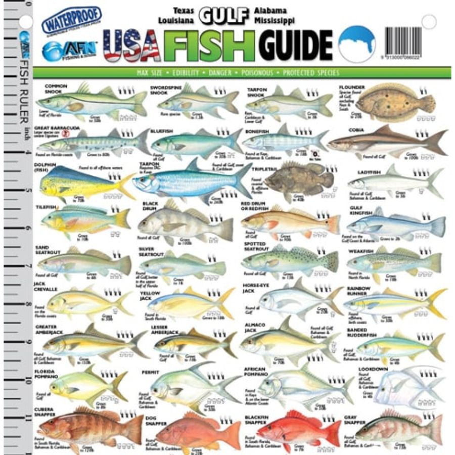 https://www.pompanobeachtackle.com/wp-content/uploads/2020/08/AFN-Gulf-USA-Fish-Guide-Short.jpg