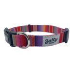 Salty Paws Dog Collar Baja Print Main