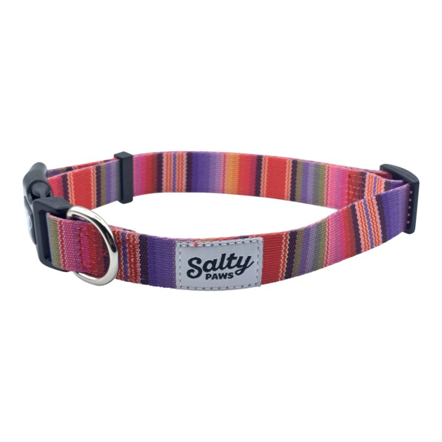 Dog Collar Belts Printed