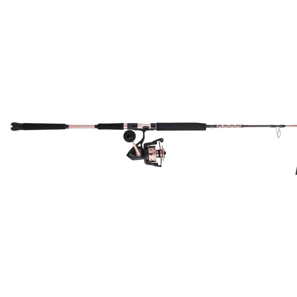 PENN PASSION SPINNING COMBO – Big Dog Tackle